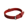 Martin Sellier - Collier Avec Bords Ronds Rouge Pour Chien - 30/60cm 1 Martin Sellier - Collier Avec Bords Ronds Rouge Pour Chien - 30/60cm -Chats Chiens Articles Magasin 10511