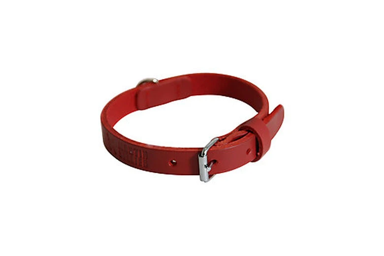 Martin Sellier - Collier Avec Bords Ronds Rouge Pour Chien - 30/60cm 3 Martin Sellier - Collier Avec Bords Ronds Rouge Pour Chien - 30/60cm