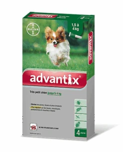 Bayer Pipettes Antiparasitaires Advantix -Chats Chiens Articles Magasin 11181