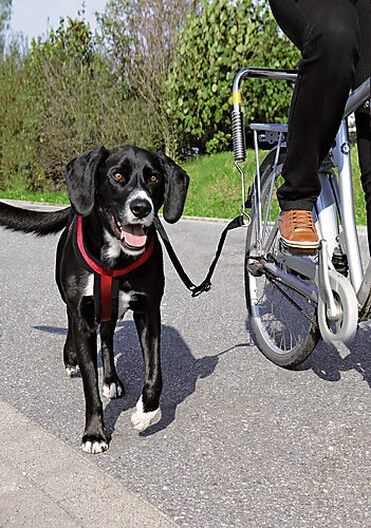 Trixie - Kit De Séparation Vélo Biker-Set Pour Grand Chien 3 Trixie - Kit De Séparation Vélo Biker-Set Pour Grand Chien