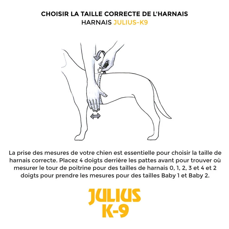 Julius K9 Julius-K9 - Harnais Power L De 71-96cm Pour Chien - Rouge 5 Julius K9 Julius-K9 - Harnais Power L De 71-96cm Pour Chien - Rouge – Image 3