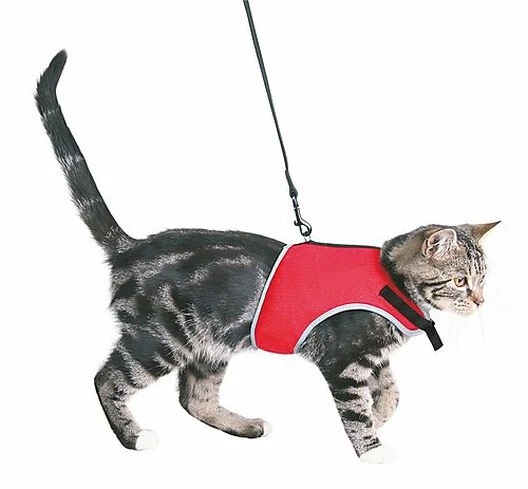Trixie - Harnais Doux Et Laisse De 1,20m Pour Chat - 24/42cm 4 Trixie - Harnais Doux Et Laisse De 1,20m Pour Chat - 24/42cm – Image 2