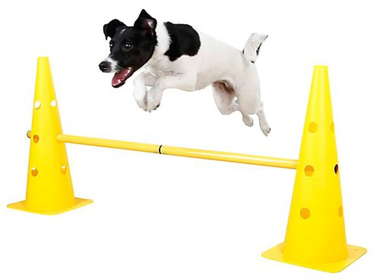 Kerbl - Parcours D'Obstacle Agility Pour Chiens 4 Kerbl - Parcours D'Obstacle Agility Pour Chiens – Image 2