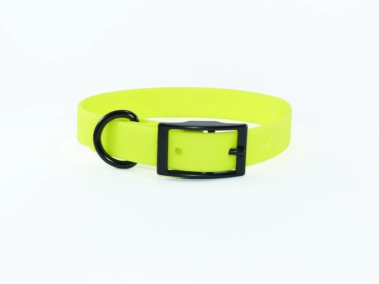EKys - Collier Biothane 25mm Pour Chien - Jaune