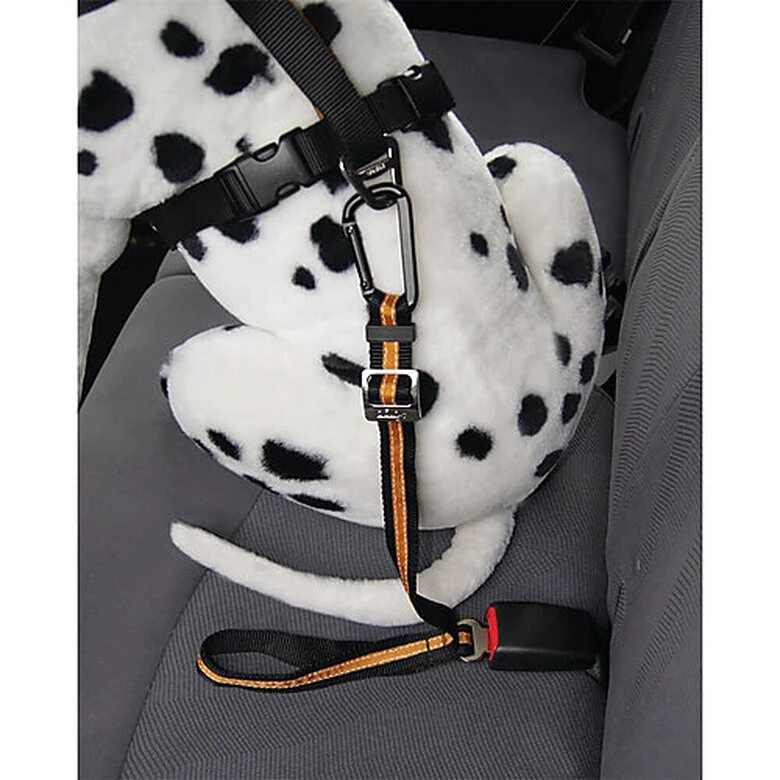 Kurgo - Attache Ceinture De Sécurité Voiture Tether Pour Chien - Orange 6 Kurgo - Attache Ceinture De Sécurité Voiture Tether Pour Chien - Orange – Image 4