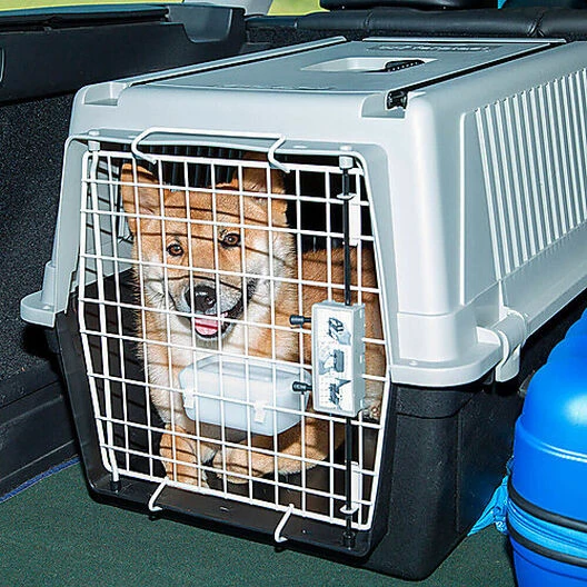 Ferplast - Panier De Transport Atlas 40 En Plastique - Gris 4 Ferplast - Panier De Transport Atlas 40 En Plastique - Gris – Image 2