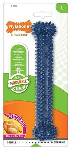 Nylabone - Jouet Os Dental Moderate Chew Pour Chien - L