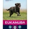 Eukanuba - Croquettes Au Poulet Pour Chien Adulte De Grande Taille - 15Kg