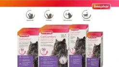 CatComfort - Recharge Calmants Aux Phéromones 30J Pour Chat -Chats Chiens Articles Magasin 26371 3