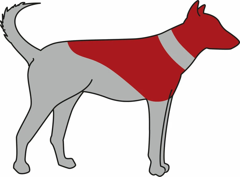 Trixie - Collerette De Protection Gonflable Pour Chien - XS 5 Trixie - Collerette De Protection Gonflable Pour Chien - XS – Image 3