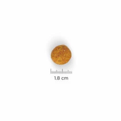 Hill's Science Plan - Croquettes Perfect Weight Large Adult Poulet Pour Chien - 12Kg -Chats Chiens Articles Magasin 28075
