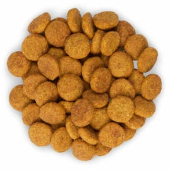 Hill's Science Plan - Croquettes Perfect Weight Large Adult Poulet Pour Chien - 12Kg -Chats Chiens Articles Magasin 28076