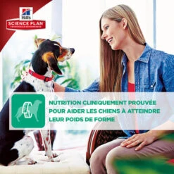 Hill's Science Plan - Croquettes Perfect Weight Large Adult Poulet Pour Chien - 12Kg -Chats Chiens Articles Magasin 28079