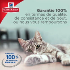 Hill's Science Plan - Sachets Multipack Pour Chaton - 12x85g 7 Hill's Science Plan - Sachets Multipack Pour Chaton - 12x85g -Chats Chiens Articles Magasin 28552