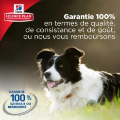 Hill's Science Plan - Croquettes Au Poulet Et Dinde Pour Chien De Petite Race 13 Hill's Science Plan - Croquettes Au Poulet Et Dinde Pour Chien De Petite Race -Chats Chiens Articles Magasin 28566