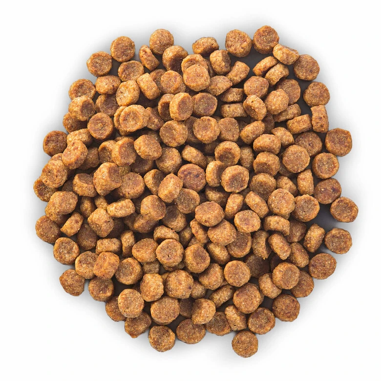 Hill's Science Plan - Croquettes Au Poulet Et Dinde Pour Chien De Petite Race 6 Hill's Science Plan - Croquettes Au Poulet Et Dinde Pour Chien De Petite Race – Image 4