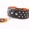 Yogipet - Collier Cuir Crystal Clouté Pour Chien - Orange 1 Yogipet - Collier Cuir Crystal Clouté Pour Chien - Orange -Chats Chiens Articles Magasin 29092