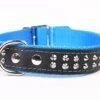 Yogipet - Collier Cuir Nylon Studs Pour Chien - Bleu -Chats Chiens Articles Magasin 29162