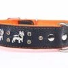 Yogipet - Collier Cuir French Bulldog Pour Chien - Orange 1 Yogipet - Collier Cuir French Bulldog Pour Chien - Orange -Chats Chiens Articles Magasin 29172