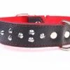 Yogipet - Collier Large Cuir Clouté Pour Chien - Rouge -Chats Chiens Articles Magasin 29173