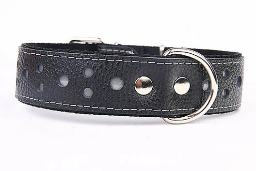 Yogipet - Collier Large Réfléchissant Cuir Pour Chien - Noir 3 Yogipet - Collier Large Réfléchissant Cuir Pour Chien - Noir