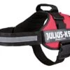 Julius K9 Julius-K9 - Harnais Power L De 71-96cm Pour Chien - Rouge -Chats Chiens Articles Magasin 3862