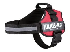 Julius K9 Julius-K9 - Harnais Power L De 71-96cm Pour Chien - Rouge