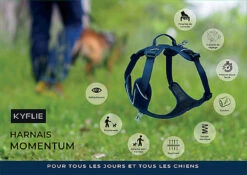 Kyflie - Harnais De Promenade MOMENTUM Bleu Pour Chien -Chats Chiens Articles Magasin 38819