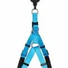 Animalis - Harnais Basic Confort T2 20mm Et 57/75cm Pour Chien - Bleu -Chats Chiens Articles Magasin 39461