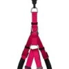 Animalis - Harnais Basic Confort T2 20mm Et 57/75cm Pour Chien - Fuchsia 1 Animalis - Harnais Basic Confort T2 20mm Et 57/75cm Pour Chien - Fuchsia -Chats Chiens Articles Magasin 39475
