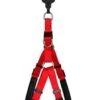 Animalis - Harnais Basic Confort T3 25mm Et 75/96cm Pour Chien - Rouge 1 Animalis - Harnais Basic Confort T3 25mm Et 75/96cm Pour Chien - Rouge -Chats Chiens Articles Magasin 39477
