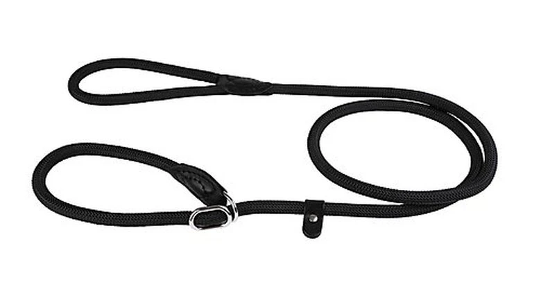 Animalis - Laisse Corde 1/2 Étrangleur De 160cm Pour Chien - Noir 4 Animalis - Laisse Corde 1/2 Étrangleur De 160cm Pour Chien - Noir – Image 2