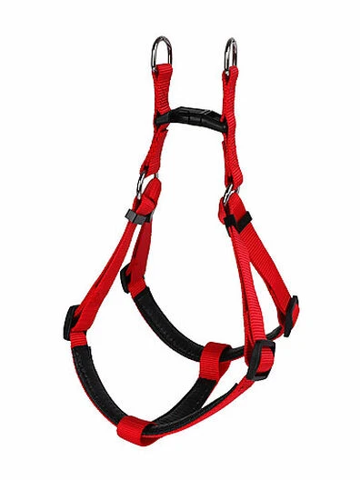Animalis - Harnais Basic Confort T3 25mm Et 75/96cm Pour Chien - Rouge 4 Animalis - Harnais Basic Confort T3 25mm Et 75/96cm Pour Chien - Rouge – Image 2