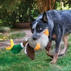 KONG - Jouet Canard En Peluche Shakers Honkers Duck Pour Chien - L 7 KONG - Jouet Canard En Peluche Shakers Honkers Duck Pour Chien - L -Chats Chiens Articles Magasin 39703