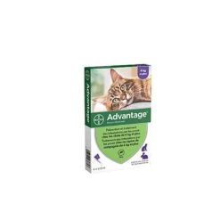Bayer - Pipettes Antiparasitaires Advantage 80 Pour Chat/Lapin - 4x0,8ml