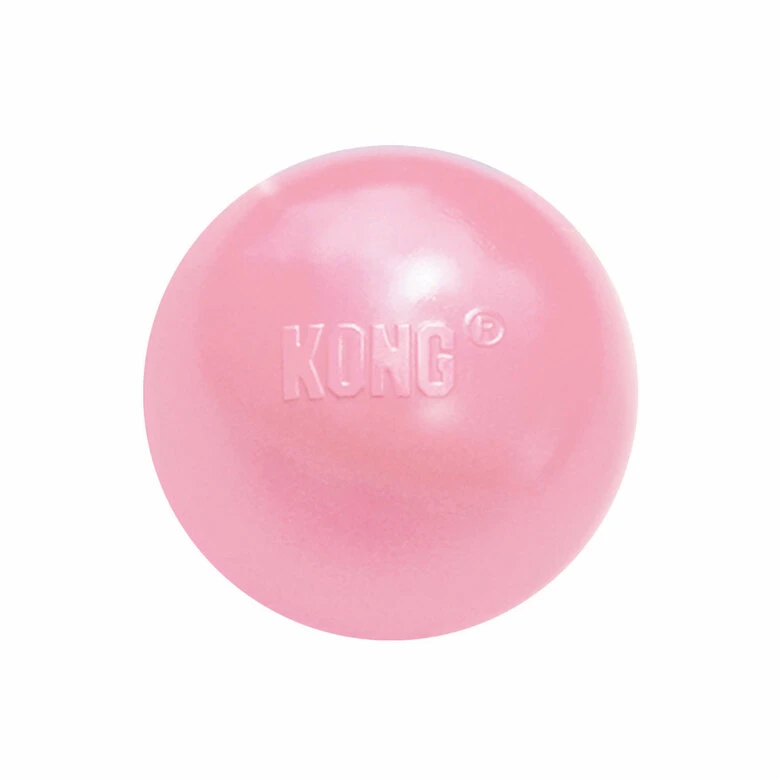 KONG - Jouet Balle Puppy Ball Pour Chiot - M/L 3 KONG - Jouet Balle Puppy Ball Pour Chiot - M/L