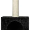Animalis - Arbre A Chat Niche+Plateau 30x30x56.5cm - Noir 1 Animalis - Arbre A Chat Niche+Plateau 30x30x56.5cm - Noir -Chats Chiens Articles Magasin 41845