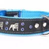 Yogipet - Collier Bulldog Cuir Crystal Pour Chien - Bleu 1 Yogipet - Collier Bulldog Cuir Crystal Pour Chien - Bleu -Chats Chiens Articles Magasin 41897