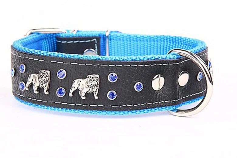 Yogipet - Collier Bulldog Cuir Crystal Pour Chien - Bleu 3 Yogipet - Collier Bulldog Cuir Crystal Pour Chien - Bleu