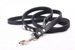 Yogipet - Laisse Ajustable 2/220cm Pour Chien - Noir