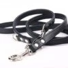 Yogipet - Laisse Ajustable 1,6/220cm Pour Chien - Noir -Chats Chiens Articles Magasin 41936