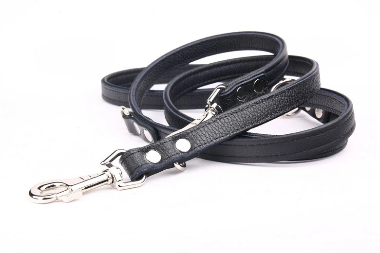 Yogipet - Laisse Ajustable 1,6/220cm Pour Chien - Noir 5 Yogipet - Laisse Ajustable 1,6/220cm Pour Chien - Noir – Image 3
