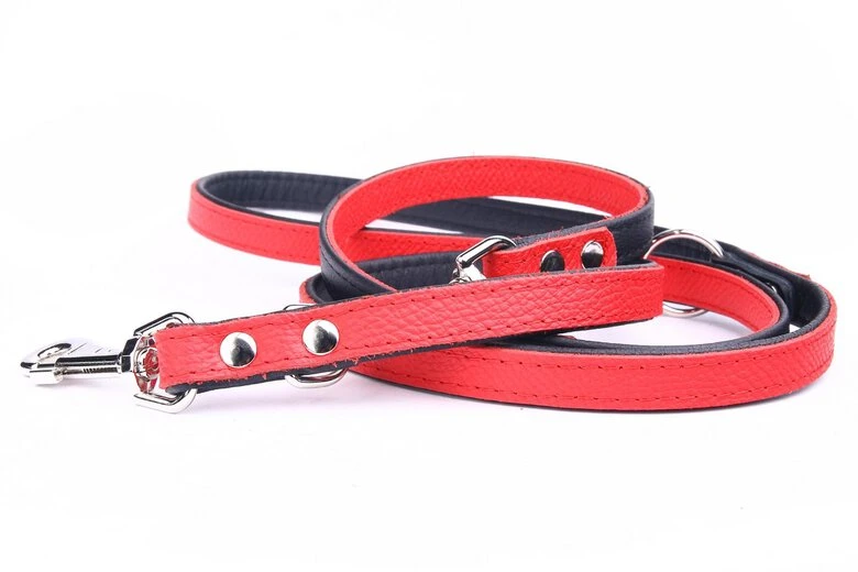 Yogipet - Laisse Ajustable 1,6/220cm Pour Chien - Rouge 4 Yogipet - Laisse Ajustable 1,6/220cm Pour Chien - Rouge – Image 2