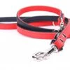 Yogipet - Laisse Ajustable 1,6/220cm Pour Chien - Rouge 1 Yogipet - Laisse Ajustable 1,6/220cm Pour Chien - Rouge -Chats Chiens Articles Magasin 41945