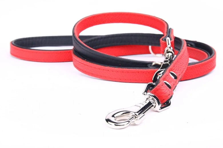 Yogipet - Laisse Ajustable 1,6/220cm Pour Chien - Rouge 3 Yogipet - Laisse Ajustable 1,6/220cm Pour Chien - Rouge