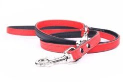 Yogipet - Laisse Ajustable 1,6/220cm Pour Chien - Rouge 9 Yogipet - Laisse Ajustable 1,6/220cm Pour Chien - Rouge -Chats Chiens Articles Magasin 41946