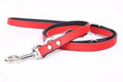 Yogipet - Laisse Ajustable 1,6/220cm Pour Chien - Rouge 11 Yogipet - Laisse Ajustable 1,6/220cm Pour Chien - Rouge -Chats Chiens Articles Magasin 41947