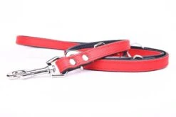Yogipet - Laisse Ajustable 1,6/220cm Pour Chien - Rouge 10 Yogipet - Laisse Ajustable 1,6/220cm Pour Chien - Rouge -Chats Chiens Articles Magasin 41948