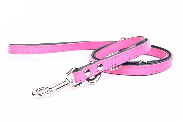 Yogipet - Laisse Ajustable 2/220cm Pour Chien - Rose 4 Yogipet - Laisse Ajustable 2/220cm Pour Chien - Rose – Image 2