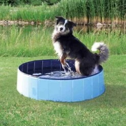 Trixie - Piscine Bleu Pour Chien - 160 × 30 Cm -Chats Chiens Articles Magasin 42797 1